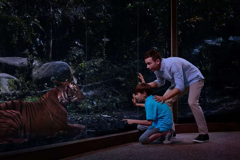 Singapore: Night Safari Entry Ticket with Tram Ride - A realistic evening plan