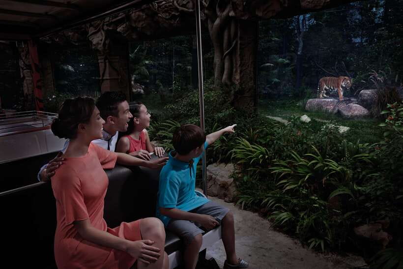 Singapore: Night Safari Entry Ticket with Tram Ride - The tram through six wildlife zones