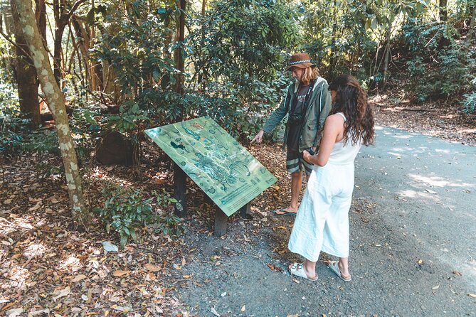 Springbrook andTamborine Rainforest Tour Incl Natural Bridge and Glow Worm Cave - What this Brisbane day trip is really about
