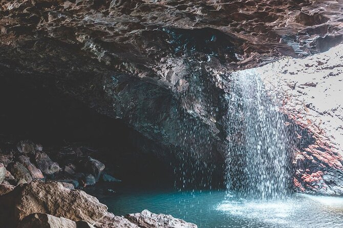 Springbrook andTamborine Rainforest Tour Incl Natural Bridge and Glow Worm Cave - Curtis Falls and the 101-step walk
