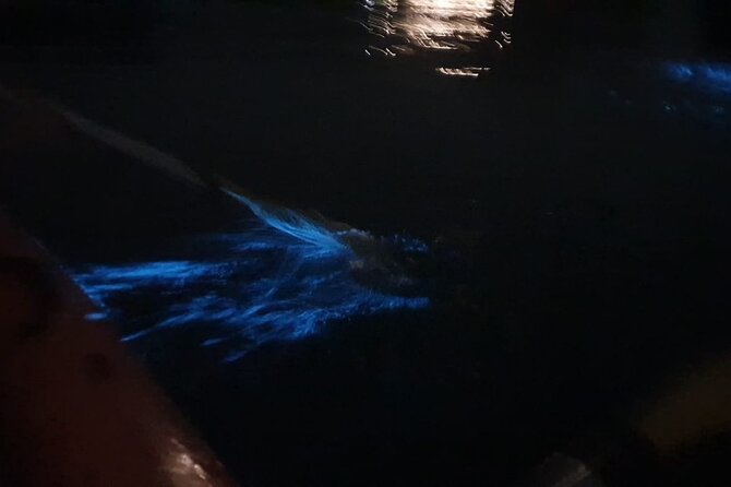 Sunset & Bioluminescent Plankton Kayaking Lan Ha bay - Why the glowing water is worth seeing