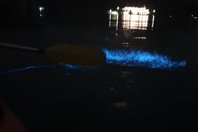 Sunset & Bioluminescent Plankton Kayaking Lan Ha bay - Booking, weather, and practical details