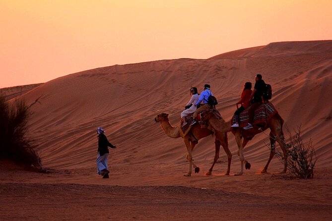 Sunset Evening Safari,Camel ride,live shows and BBQ Dinner with No Hidden Charge - Tanura, belly dancing, and the fire show