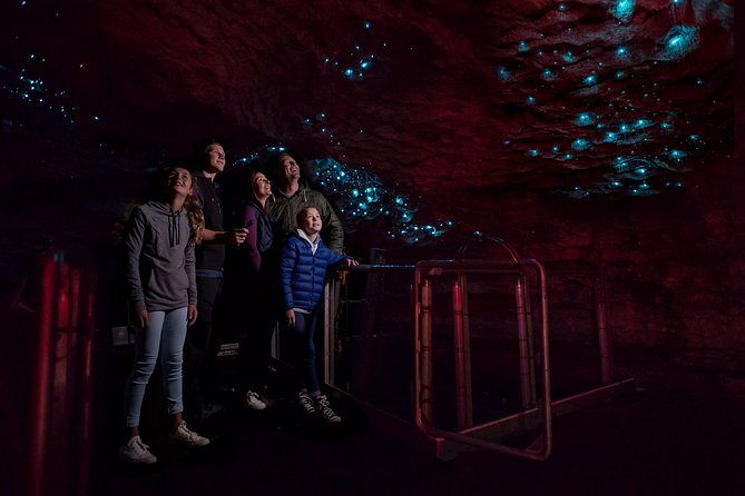 Te Anau Glow Worm Caves Tour - The trip begins on Lake Te Anau