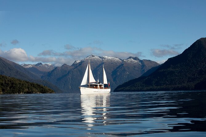 Te Anau Glow Worm Caves Tour - Who will enjoy this most?