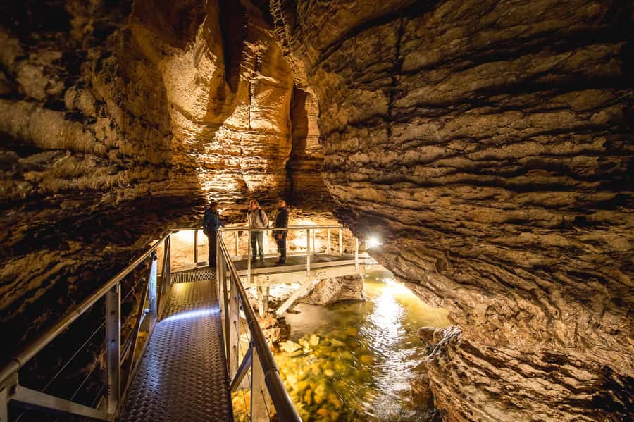 Te Anau: Glowworm Caves Guided Tour - Why the glowworm grotto is worth the trip