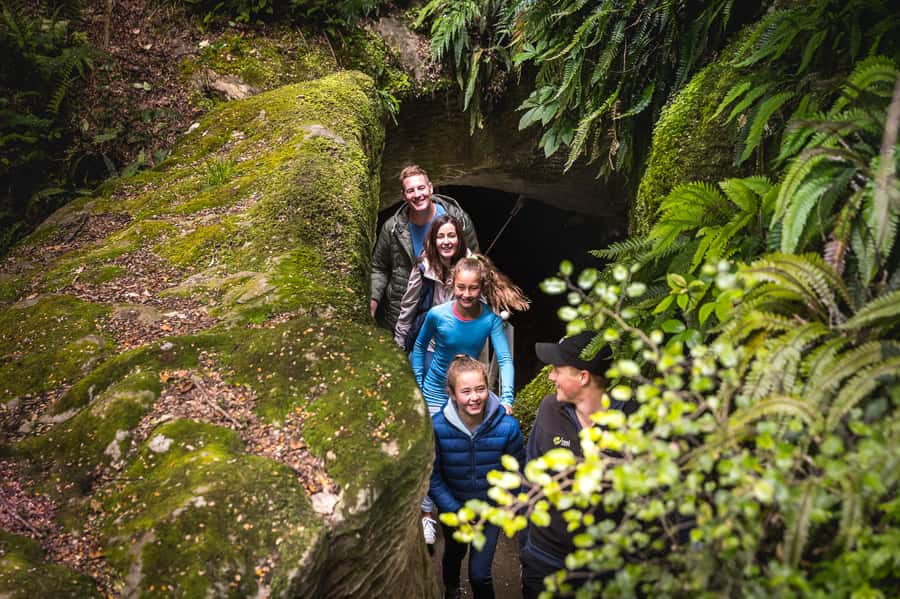 Te Anau: Glowworm Caves Guided Tour - A short walk into a young limestone cave
