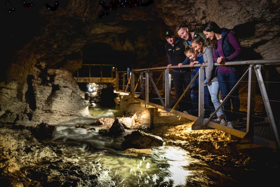 Te Anau: Glowworm Caves Guided Tour - The small boat and the silent glowworm chamber