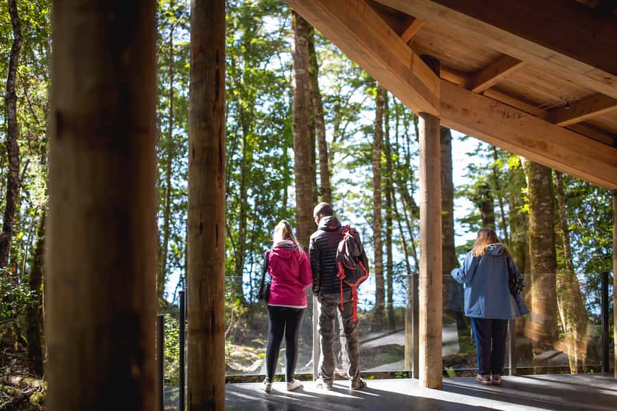 Te Anau: Glowworm Caves Guided Tour - What happens after the grotto
