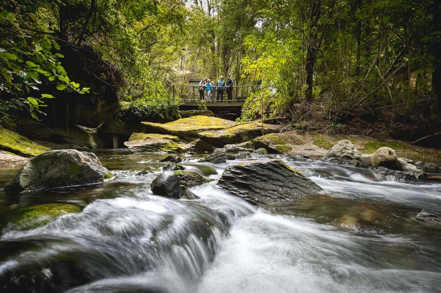 Te Anau: Glowworm Caves Guided Tour - The guides and the quality of the explanation