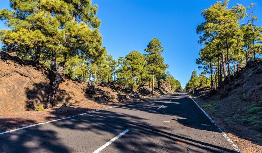 Teide: Guided Sunset & Stargazing Tour by Night with Dinner - The coach, timing, and group rhythm