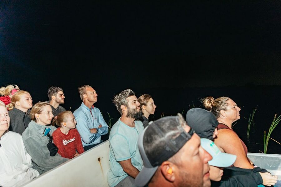 The Everglades: 1-Hour Airboat Night Tour - Key points to know before you book