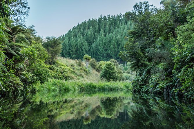 Twilight Glowworm Kayak Tour – Lake Karapiro - Key points to know before you book