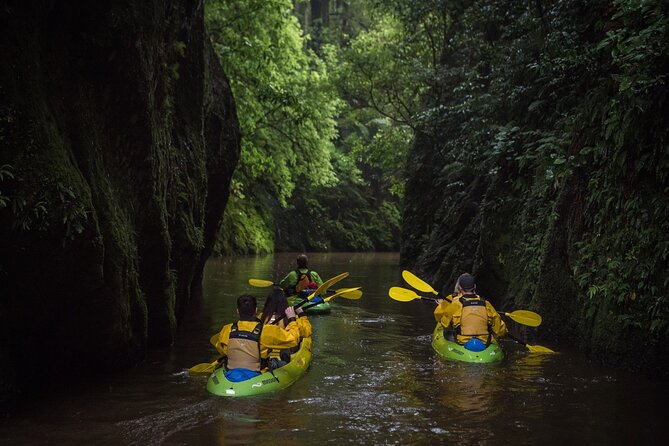 Twilight Glowworm Kayak Tour – Lake Karapiro - What the supplied gear means in practice