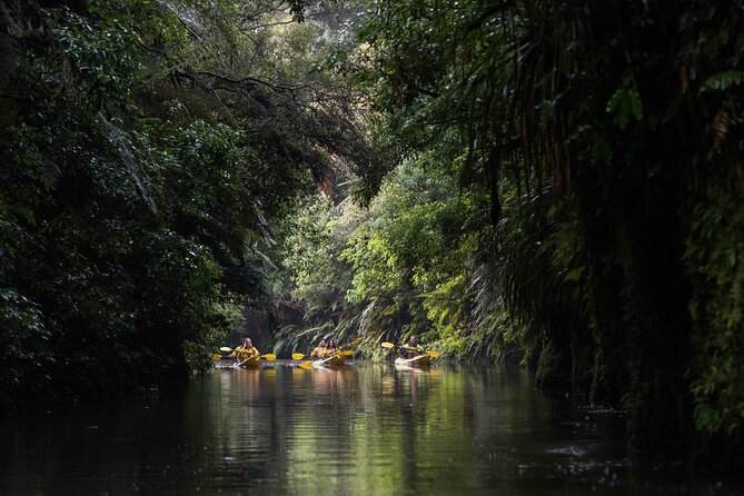 Twilight Glowworm Kayak Tour – Lake Karapiro - The return through the gorge after dark