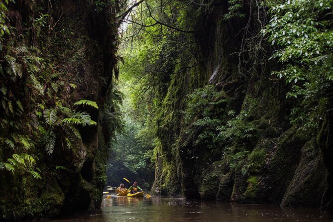 Twilight Glowworm Kayak Tour – Lake Karapiro - Booking, timing, and value