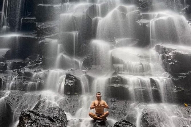 Ubud Day Tour : Waterfall, Temple and Local Night Market Tour - What the guide adds to the experience