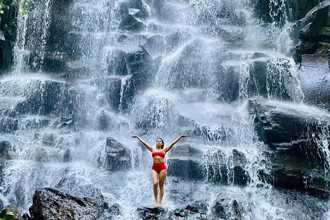 Ubud Day Tour : Waterfall, Temple and Local Night Market Tour - Is $21 a good value?