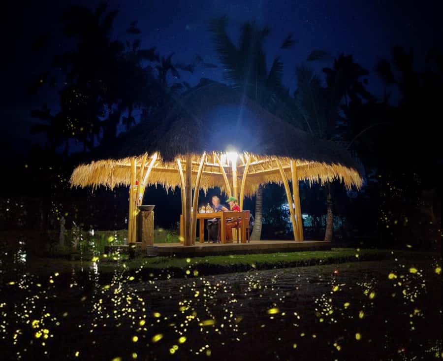 Ubud: Village Firefly Night Tour with Dinner - Leaving Ubud for a village evening