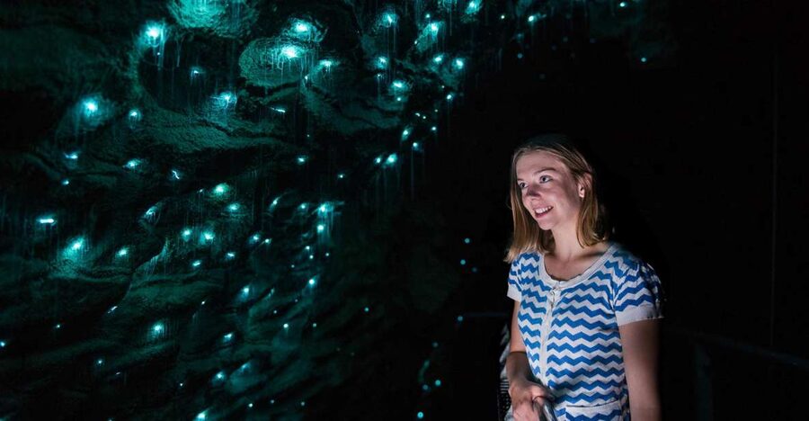 Waitomo Caves: Ruakuri Glowworm Cave Guided Walking Tour - Who will get the most from this tour