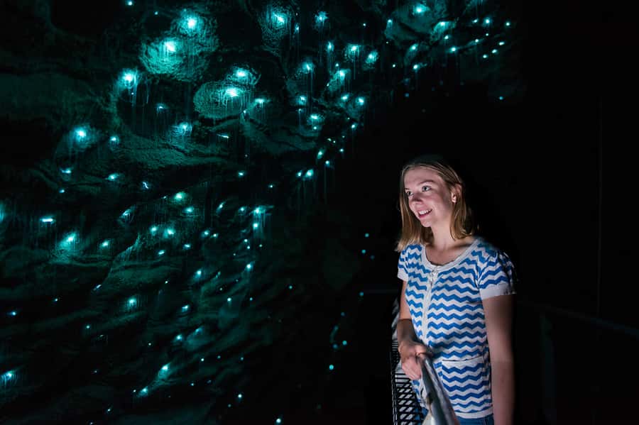 Waitomo Caves: Ruakuri Glowworm Cave Guided Walking Tour - Why Ruakuri Cave is more than a glowworm stop