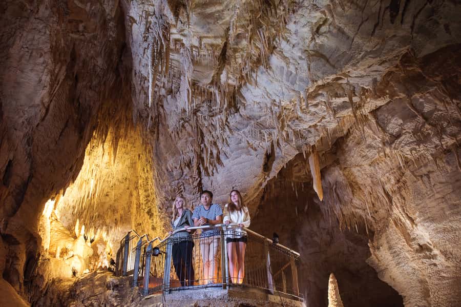 Waitomo Caves: Ruakuri Glowworm Cave Guided Walking Tour - Getting close to the glowworms