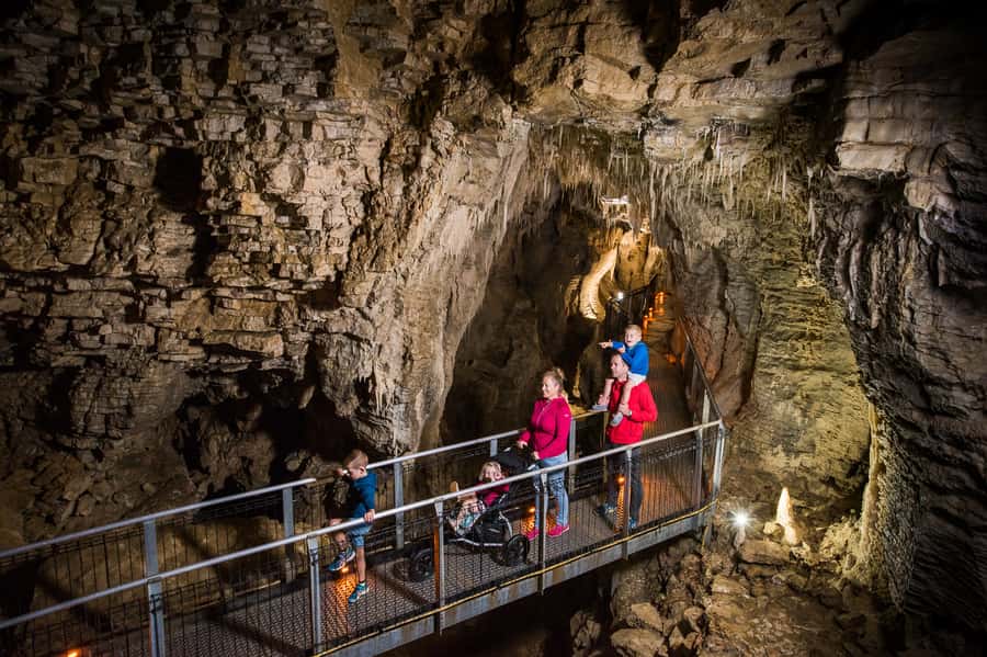 Waitomo Caves: Ruakuri Glowworm Cave Guided Walking Tour - A route built for access, not adventure sports