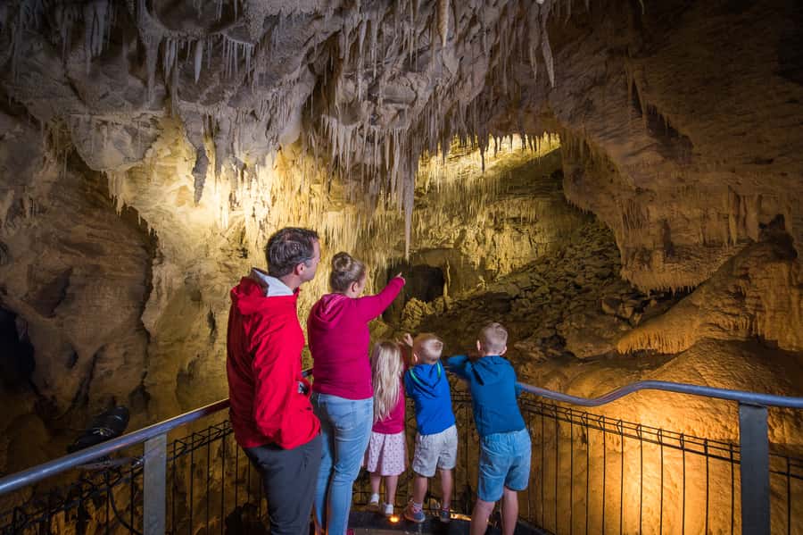 Waitomo Caves: Ruakuri Glowworm Cave Guided Walking Tour - How the $69 price works out