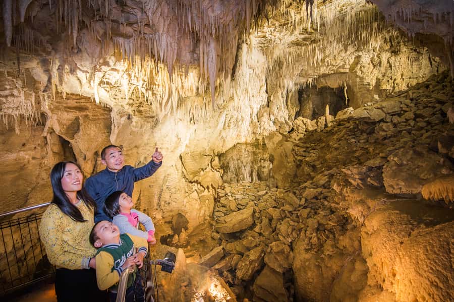Waitomo Caves: Ruakuri Glowworm Cave Guided Walking Tour - Planning the visit from Auckland, Hamilton, or Rotorua