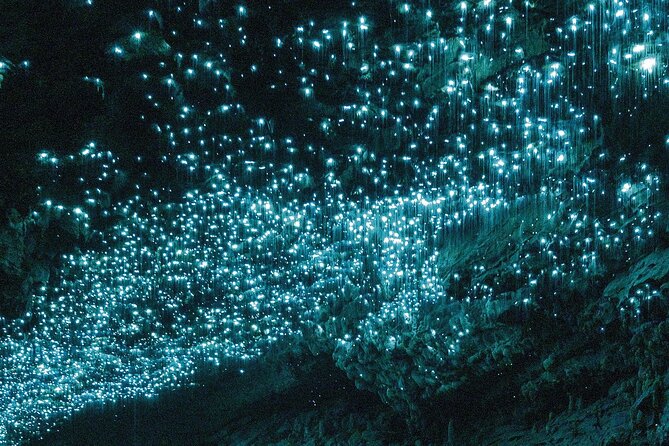 Waitomo Glowworm Caves Guided Tour - Who will enjoy this cave tour most