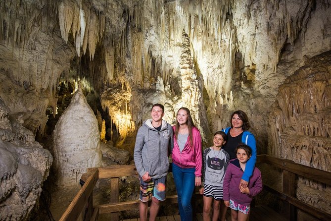 Waitomo Glowworm Caves Guided Tour - Practical details that can make or break the visit