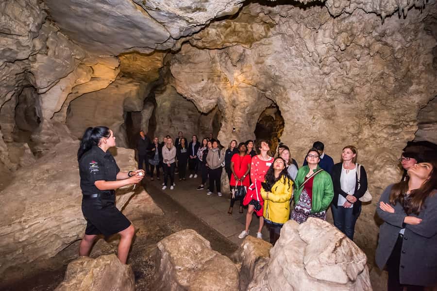 Waitomo: Glowworm Caves Guided Tour by Boat - The boat through the Glowworm Grotto