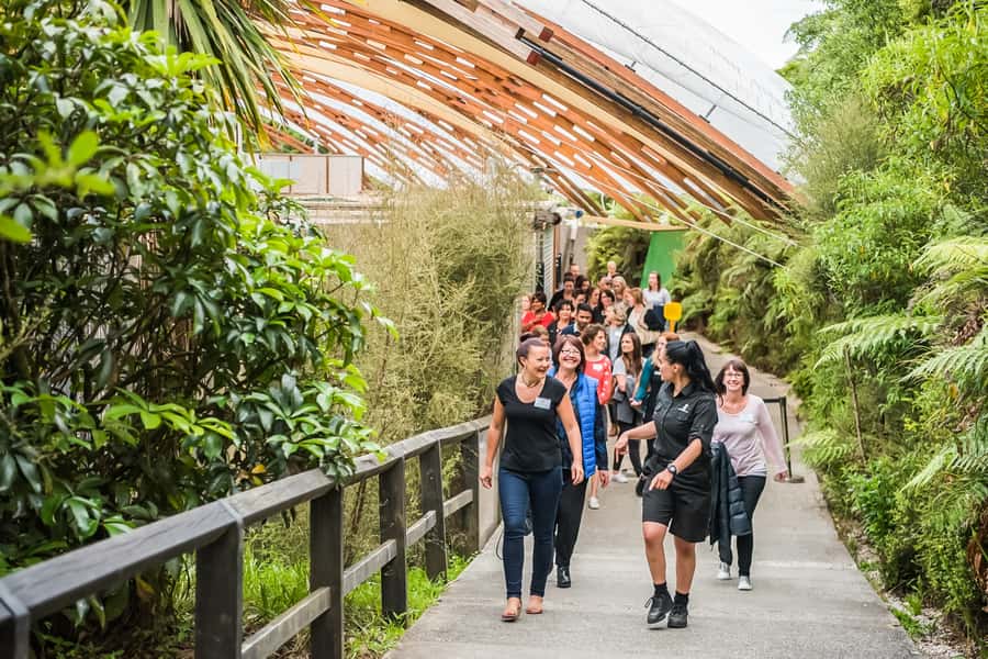 Waitomo: Glowworm Caves Guided Tour by Boat - What the guides add
