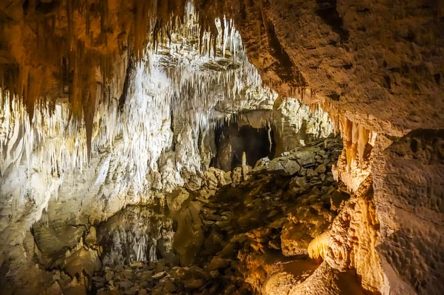 Waitomo: Glowworm Caves Guided Tour by Boat - Should you book it?