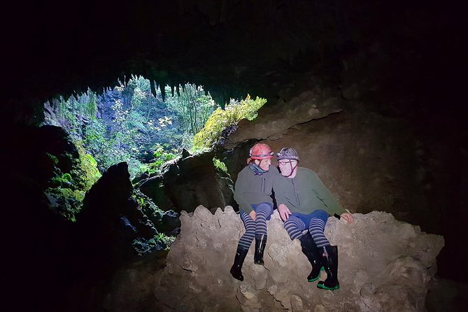 Waitomo’s Hidden Gem: Small-Group Off the Beaten Track Tour - The glowworms are best seen in silence