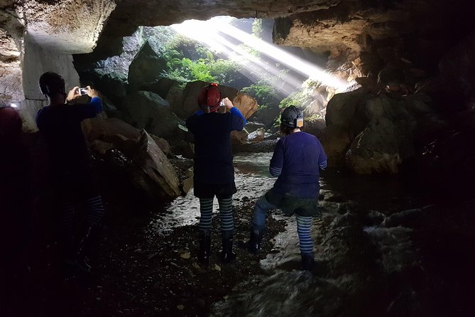 Waitomo’s Hidden Gem: Small-Group Off the Beaten Track Tour - What the $135.91 price includes
