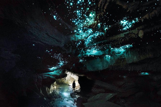 Waitomo’s Hidden Gem: Small-Group Off the Beaten Track Tour - The walk through farmland, bush, and Mangapu Gorge